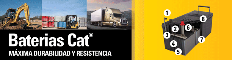 Categoría