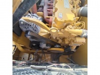 cat-kel50018-10198706