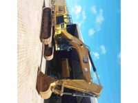 cat-sp910281-4898100