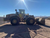 cat-pf800278-10209833