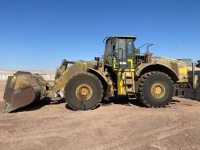 cat-pf800278-10209833