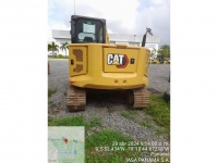 cat-gw703356-10141495