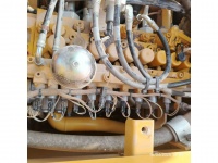 cat-kel50018-10198706