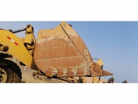 cat-ln600211-10198703