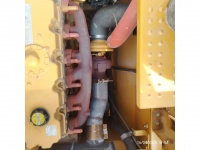 cat-kel50018-10198706