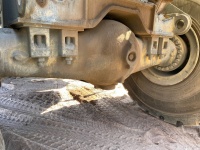cat-pf800278-10209833