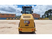 cat-73300130-10239853