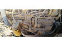 cat-ln600211-10198703