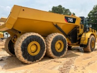 cat-3f600468-10209814