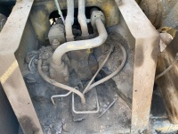 cat-pf800278-10209833