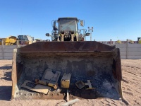 cat-pf800278-10209833