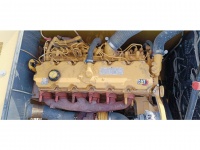 cat-kel50021-10198705