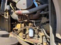 cat-pf800278-10209833