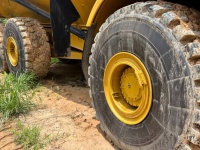cat-3f600453-10209807
