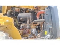 cat-b9801101-10239850