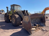 cat-pf800278-10209833