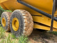 cat-3f600453-10209807