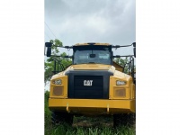 cat-3f600470-10209815