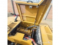 cat-kel50018-10198706
