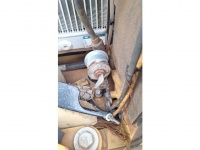 cat-r2e00231-10226329