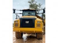 cat-3f600468-10209814