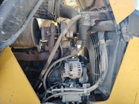 cat-lbf10107-10208469