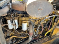 cat-pf800278-10209833