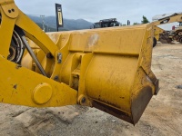 cat-h9t00122-10237596