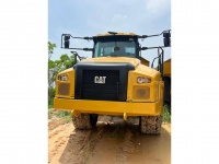 cat-3f600453-10209807