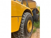 cat-3f600470-10209815